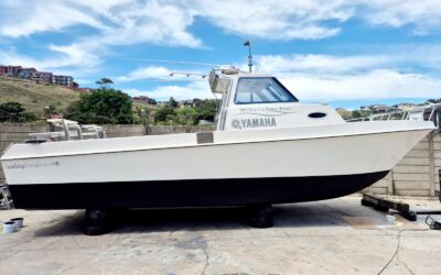 IMG-20260219-WA0047(1)